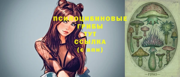 хмурый Краснотурьинск